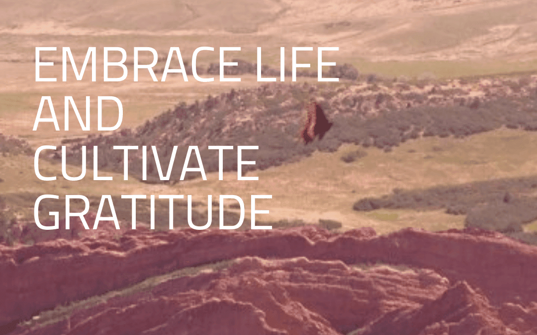 Embrace Life And Cultivate Gratitude